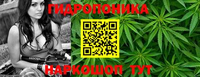 эйфоретик Лесосибирск